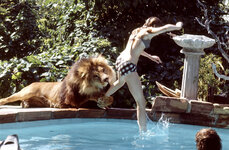 96ca9b30-50c4-11e4-86b3-9be817ca61f0_Melanie-Griffith-with-lion3.jpg