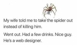 spider-drinks-jpg.621646.jpg