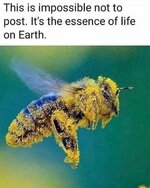 FB_IMG_1696003276335.jpg