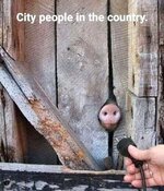 FB_IMG_1696449862612.jpg