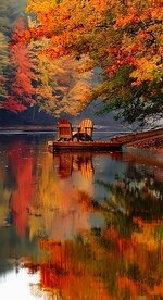 FB_IMG_1696449594119.jpg