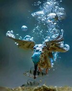 FB_IMG_1696483573647.jpg