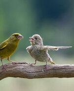 AE065000-2A8B-4EF9-8D0D-599A6EFBFC54.jpeg