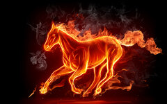 6929432-glowing-fire-horse.jpg