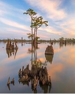 FB_IMG_1697357035589.jpg