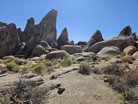 20231007_110518.jpg