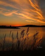 FB_IMG_1698246589382.jpg