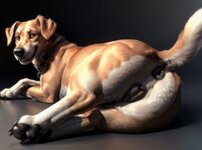 Shuffur - Good Girls 1.jpg