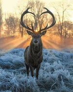 FB_IMG_1698779055556.jpg