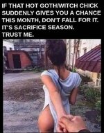 FB_IMG_1698777392385.jpg