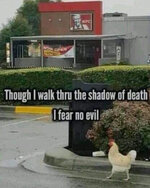6DE776BB-582C-4A3F-B728-2E6DD0DB20E9.jpeg