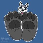 1539383300.burbarbeers_bahnsfeet.jpg