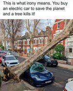 FB_IMG_1699115016538.jpg