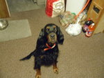 12-30-08 lizzy 002.jpg