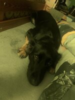 IMG_2312.jpeg