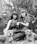 15 Amazing Photographs of Old Celebrities Posing With Their Pet Cheetahs.jpg