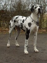 IMG_2197.jpeg