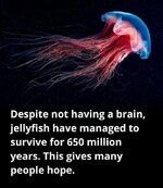 FB_IMG_1700380690944.jpg