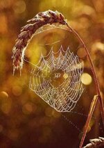 FB_IMG_1701009595617.jpg