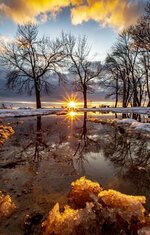 FB_IMG_1701144146778.jpg