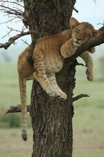 FB_IMG_1701144063562.jpg