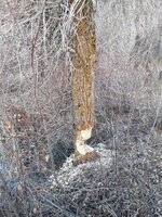 20191109_135056.jpg