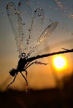 FB_IMG_1701201503440.jpg