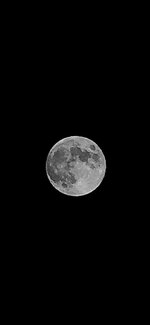IMG_3952.jpeg