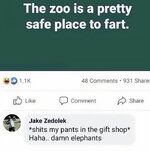 1701594119309.jpeg