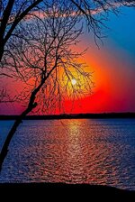 FB_IMG_1701810393657.jpg