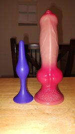 IMG_20231210_144042569.jpg
