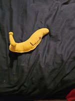 20231211_164026.jpg