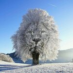 FB_IMG_1702115779668.jpg