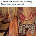 FB_IMG_1702691082319.jpg