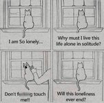 1702722817399.jpeg