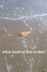 FB_IMG_1703248639931.jpg