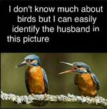 FB_IMG_1703245892789.jpg