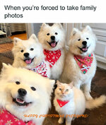 1703412066780.jpeg