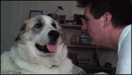 tumblr_lxsbe005zM1qgyquao1_400.gif