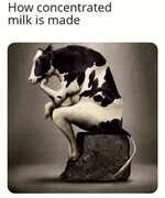 F053B082-D232-4B04-A976-AA097B32EC91.jpeg