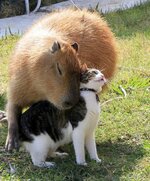0w0LvTjaXexxDRSt8HJYUsrZpch6Hh5IK6FE1keaTcc-1.jpg
