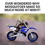 FB_IMG_1705227835314.jpg