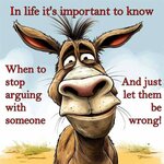 FB_IMG_1705308015989.jpg