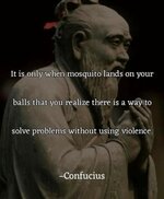 FB_IMG_1706290429922.jpg