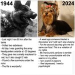 dog-1944-2024.jpg