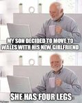 34gii1.jpg