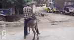 giphy (2).gif
