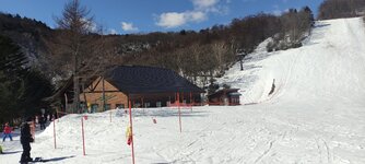 IMG_20240218_113701.jpg