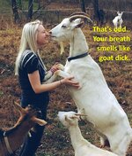 Goat dick.jpg