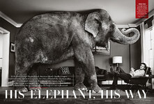 The Elephant man.jpg
